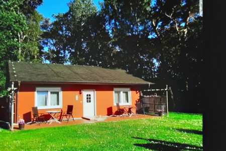 Bild 4