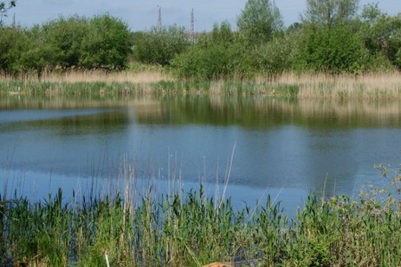 Bild 4