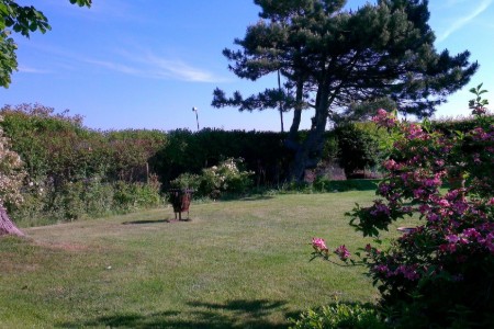 Bild 4