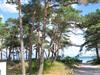 Bild 19 - Gebiet