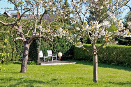Bild 4