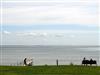 Bild 17 - Aussicht