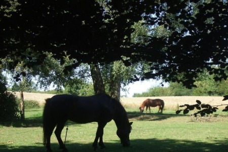 Bild 2