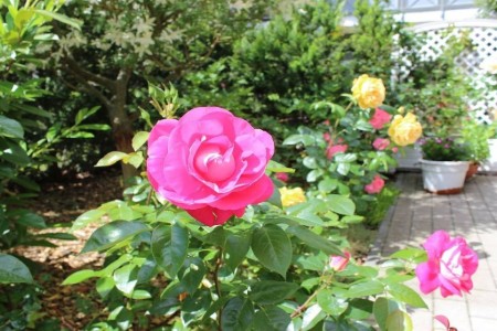 Bild 3