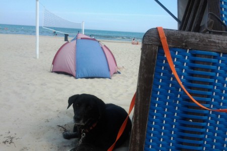 Bild 3