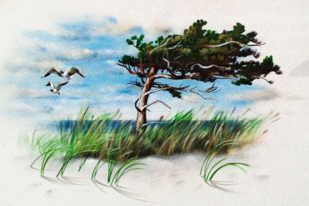 Bild 4