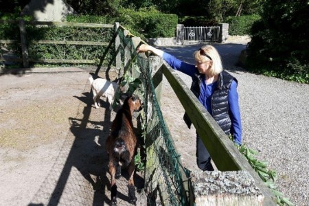 Bild 4