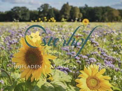 Ferienhaus - 4 Personen -  - Gammendorfer Str. - 23769 - Fehmarn