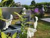 Bild 22