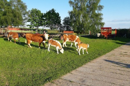 Bild 2