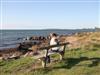 Bild 32 - Aussicht