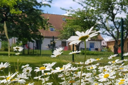 Bild 2