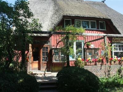 Ferienhaus - 2 Personen -  - Bernsteinweg - 18375 - Prerow