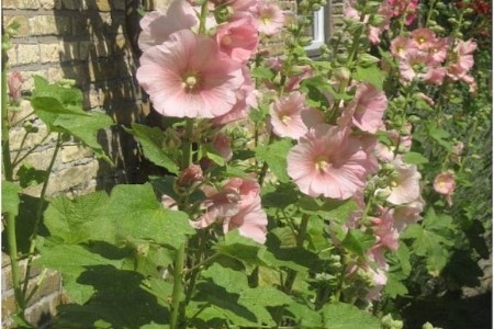 Bild 4