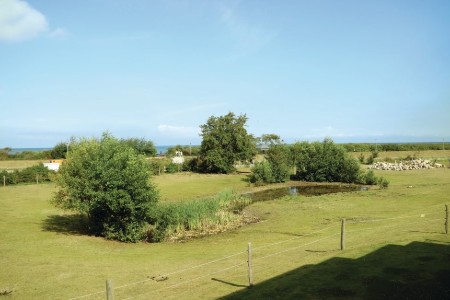 Bild 4