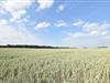 Bild 23