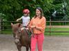 Bild 28