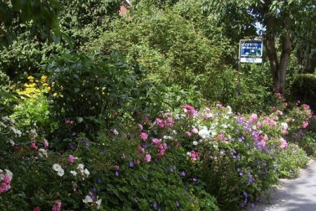 Bild 4