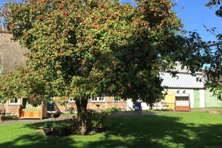 Bild 4