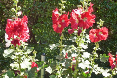 Bild 4