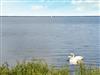 Bild 8 - Blick über's Wasser
