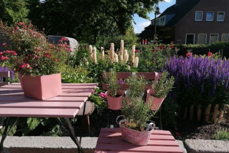 Bild 4