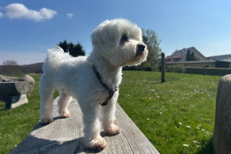 Bild 4