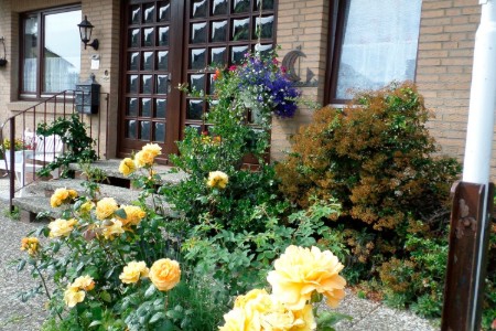 Bild 2