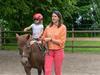 Bild 28