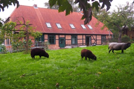 Bild 2