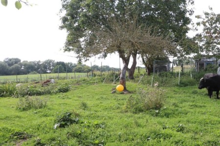 Bild 4