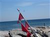 Bild 37
