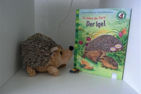 Bild 3