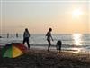 Bild 22