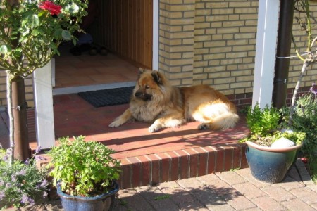 Bild 3