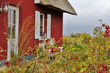 Bild 4