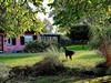 Bild 15