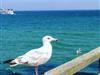 Bild 16