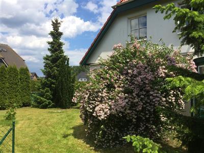 Ferienhaus - 4 Personen -  - Am Walde - 17449 - Trassenheide