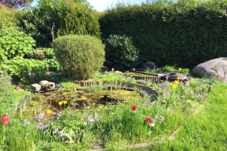 Bild 4