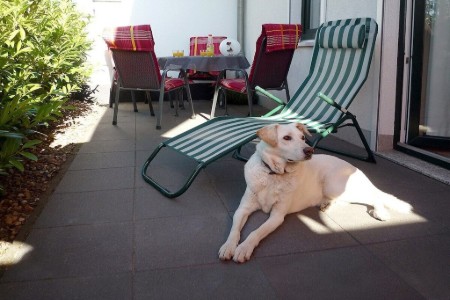 Bild 4