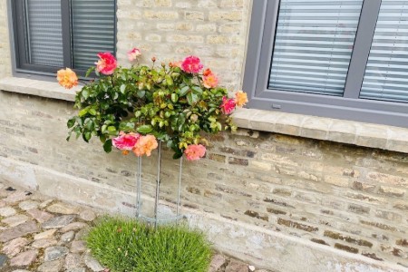 Bild 4