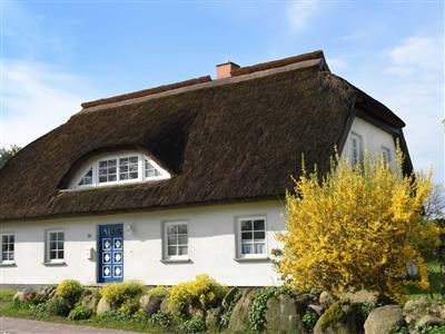 Ferienhaus - 2 Personen -  - Boddenstraße - 18586 - Groß Zicker