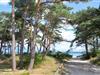 Bild 27 - Terrasse