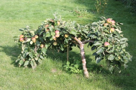 Bild 3