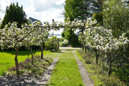 Bild 2